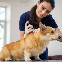 Ветеринарные услуги  - Животноводство