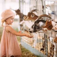 Экскурсии на ферму  - Животноводство